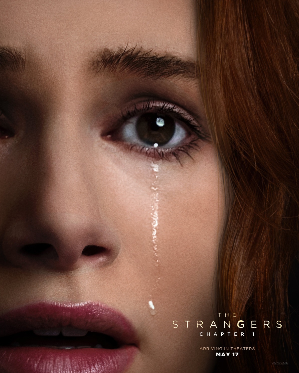 Extra Large Movie Poster Image for The Strangers: Chapter 1 (#8 of 9)